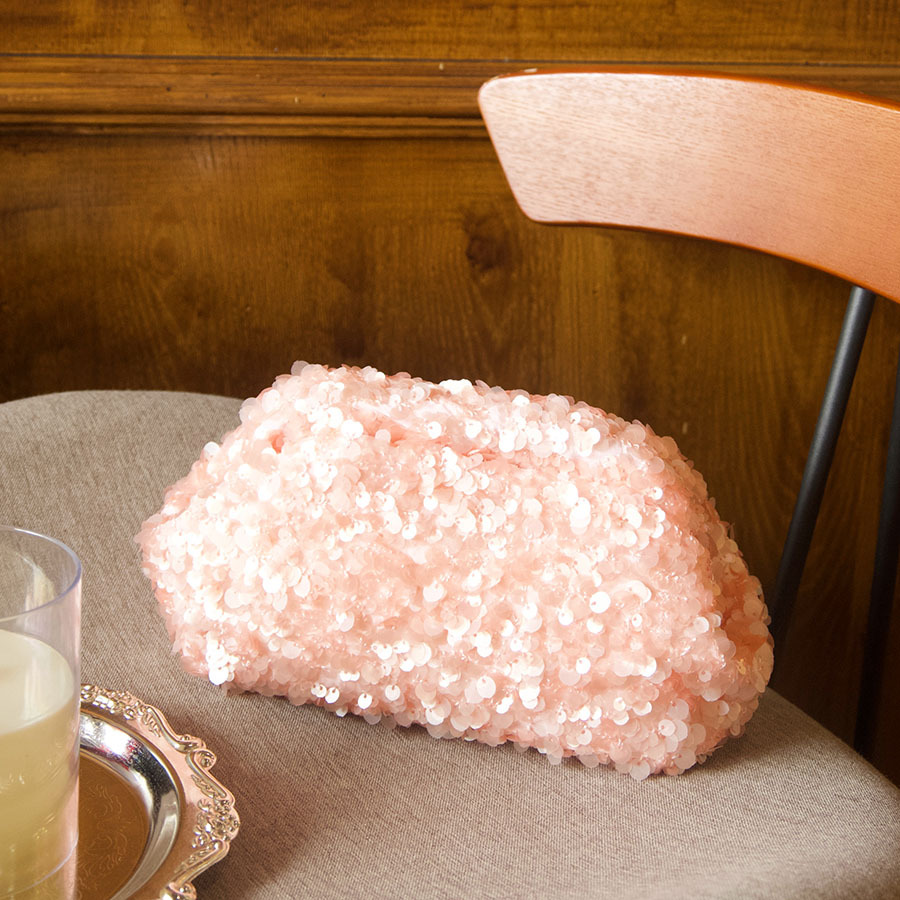 Sparkly Sequin Clutch Purse